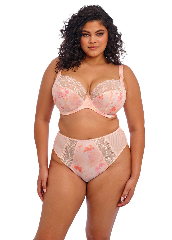 Elomi EL4498 Lucie Cosmos Full Briefs