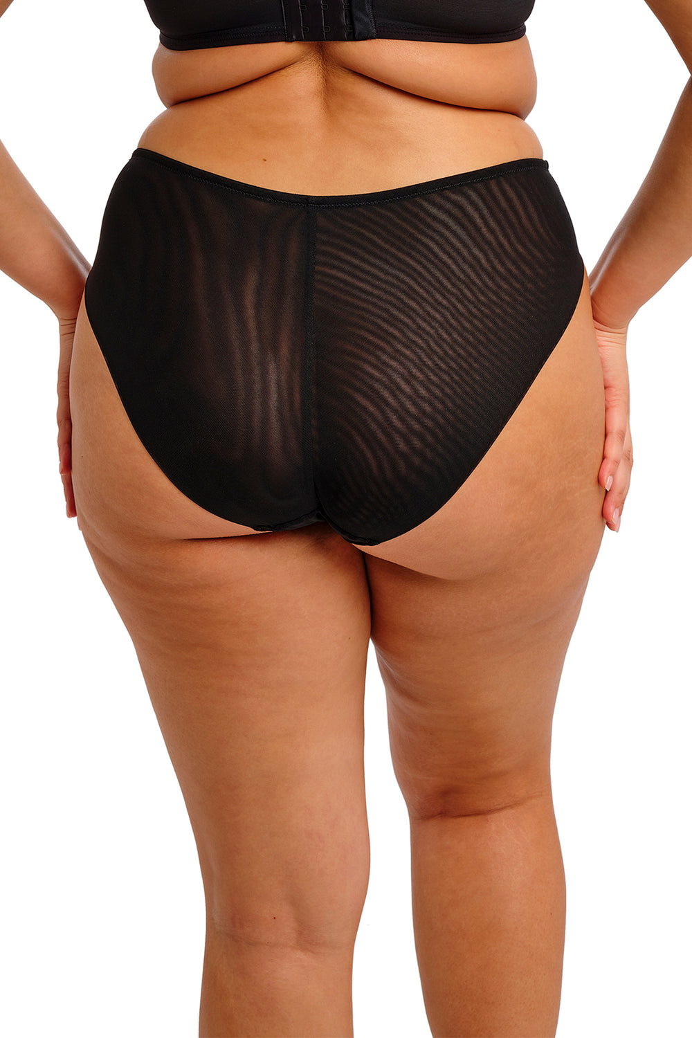 Elomi Reja EL303150 BLK Black Brief - Rouge Boutique Inverness